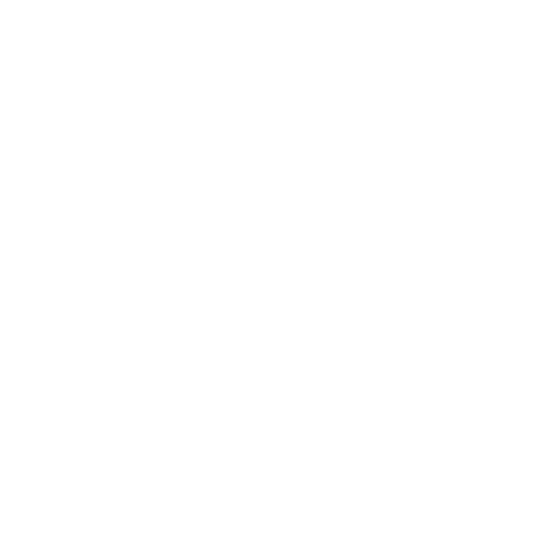 Chat Icon