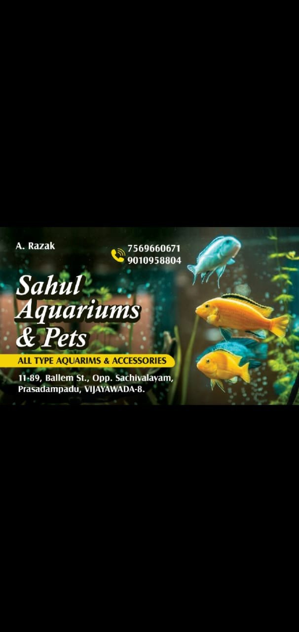 sahul Aquariums and pets