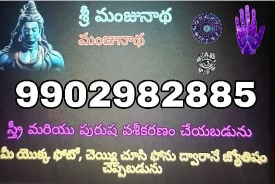 sri vinayaka astrologer center